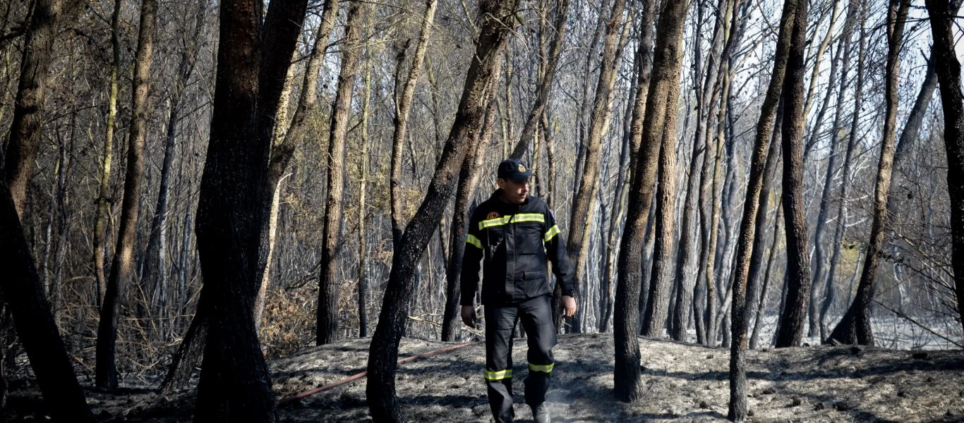 Διπλή τραγωδία - Δύο νεκροί στο δάσος της Στροφυλιάς